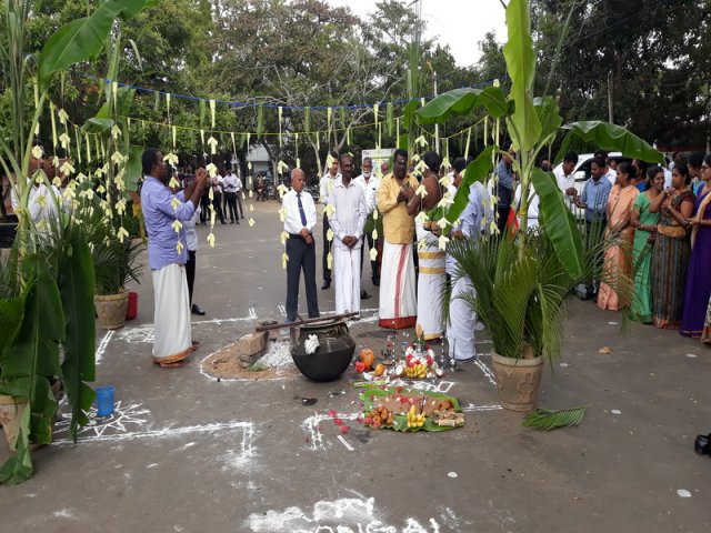 Thaipongal Festival_16.01.2019